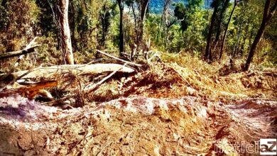 Crime Ambiental é identificado pela Patrulha Ambiental em Campo Limpo Paulista