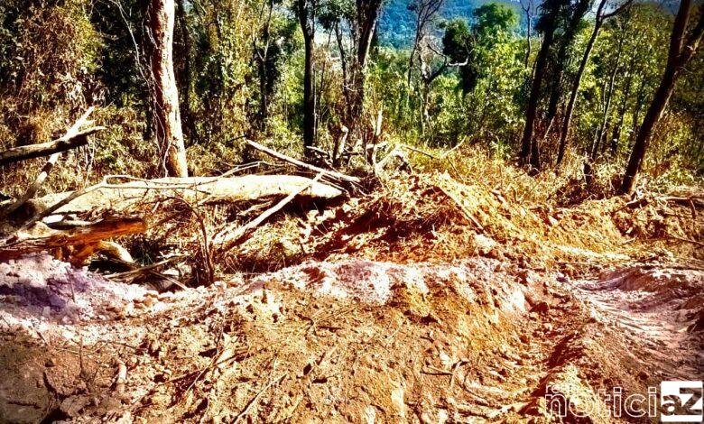 Crime Ambiental é identificado pela Patrulha Ambiental em Campo Limpo Paulista