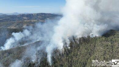 VÍDEO - Guarda Municipal e Bombeiros combatem Incêndio na Serra do Japi