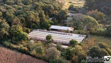 Jundiaí consolida investimento no Agronegócio, Abastecimento e Turismo