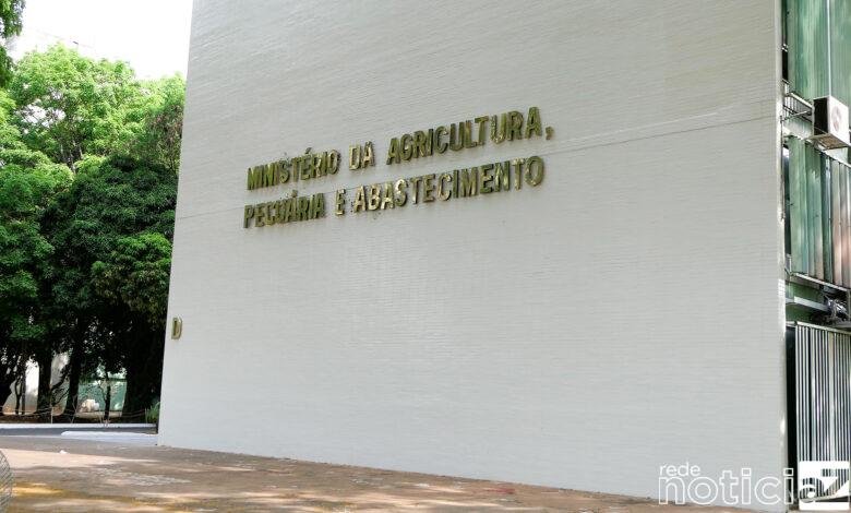 Operação fiscaliza estabelecimentos que produzem vinhos e bebidas