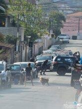 VÍDEO - Sobe para 13 o número de mortos na Baixada Santista durante ação policial