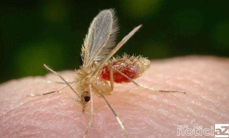 Campanha contra Leishmaniose Visceral (LV) é realizada em Cabreúva