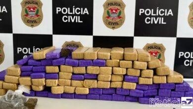 90 tijolos de maconha são apreendidos pela DISE em Jundiaí