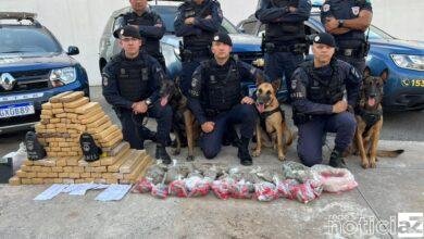 VÍDEO - 100 kg de maconha são encontrados após denúncia anônima