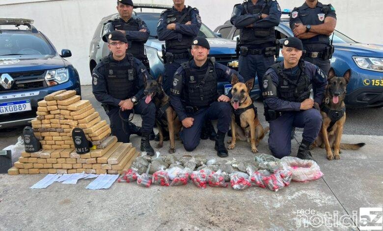 VÍDEO - 100 kg de maconha são encontrados após denúncia anônima