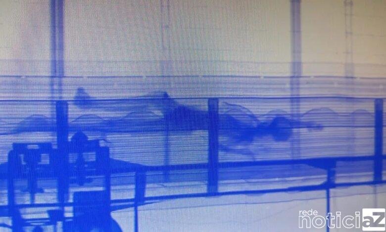 Corpo é identificado dentro de contêiner no Porto de Santos