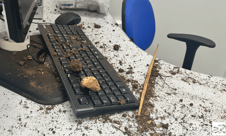 UBS é vandalizada em Itupeva e atendimentos são suspensos