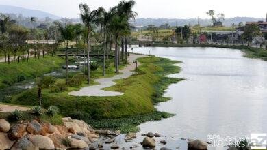 300 quilos de peixes mortos são encontrados mortos em Jundiaí