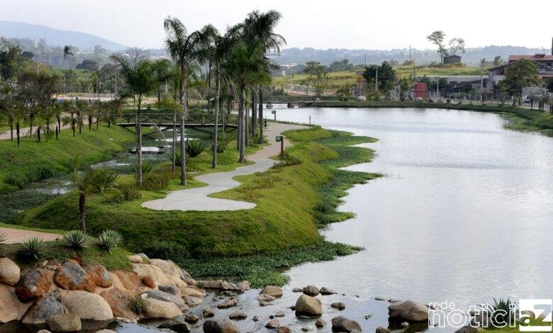 300 quilos de peixes mortos são encontrados mortos em Jundiaí