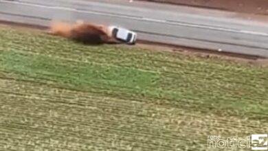 VÍDEO -Jovem foge da polícia, mas é capturado com 400 kg de maconha