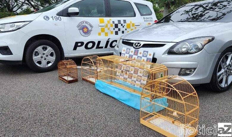 Aves silvestres são resgatadas pela Polícia Rodoviária