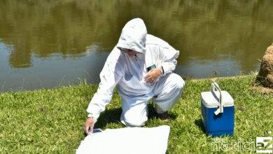 Jundiaí permanece em estado de alerta devido a febre maculosa