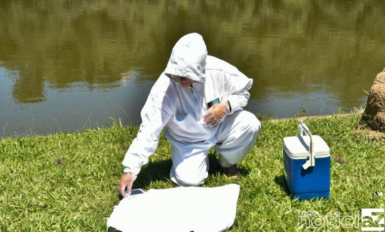 Jundiaí permanece em estado de alerta devido a febre maculosa