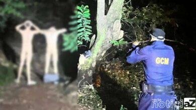 GCM prende homens que faziam sexo em parque