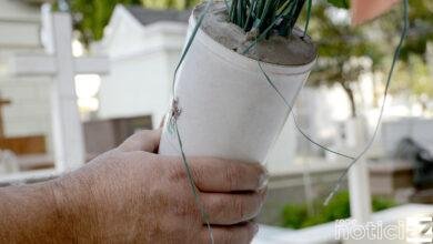 Orientações de prevenção à dengue em cemitérios são reforçadas em Jundiaí