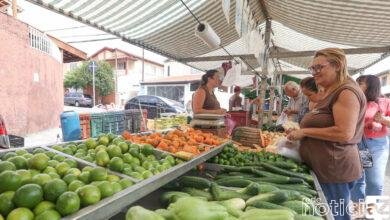 Feiras Livres e varejões são opções de alimento fresquinho, gastronomia e passeio no feriado