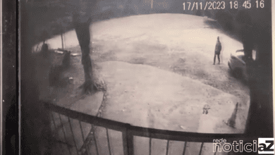 Jundiaí faz alerta sobre o abandono de animais