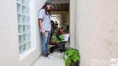 Levantamento aponta para o risco de transmissão de arboviroses