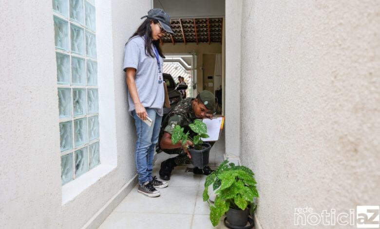 Levantamento aponta para o risco de transmissão de arboviroses