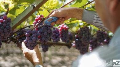 Pesquisa sobre o Turismo de Jundiaí segue aberta para todos os moradores