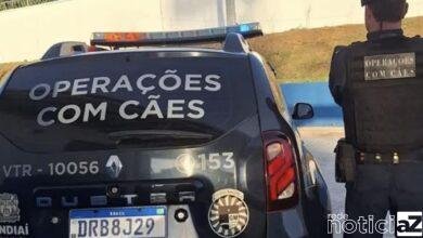 Operação com cães