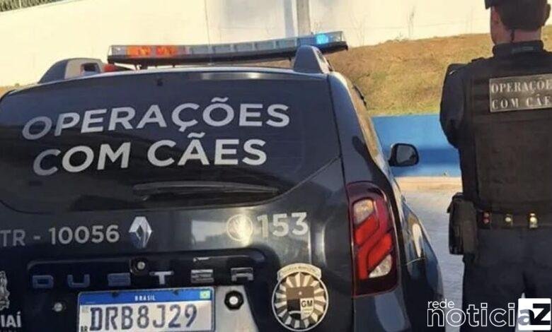 Operação com cães