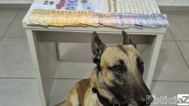 Mulher é presa por tráfico de drogas perto de escola