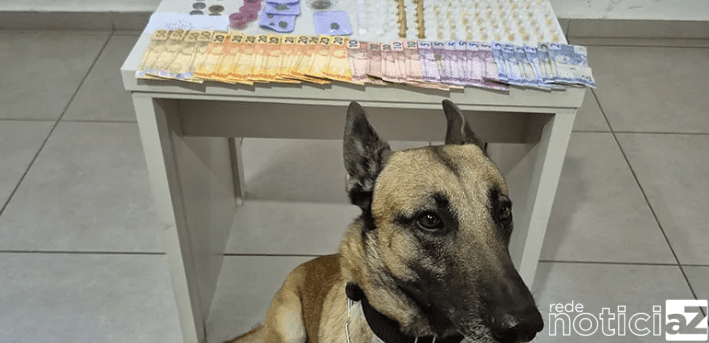 Mulher é presa por tráfico de drogas perto de escola