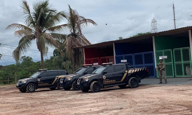 Drogas apreendidas no Porto são incineradas