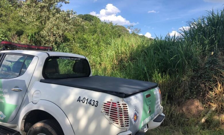 Polícia Ambiental combate crimes de desmatamento e degradação