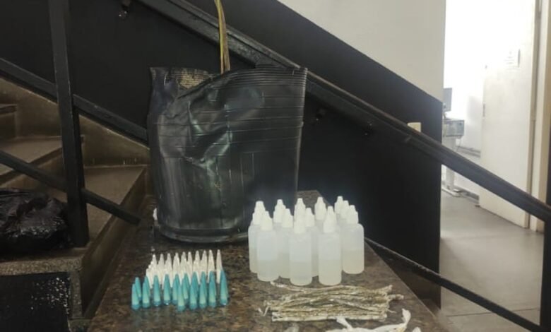 Dois jovens são presos em flagrante com pé de maconha