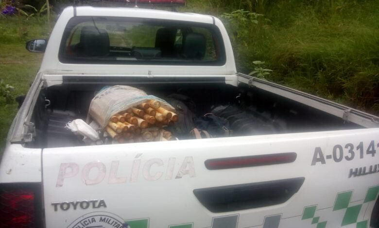 PMA apreende palmito e aplica multa superior de R$ 61 mil