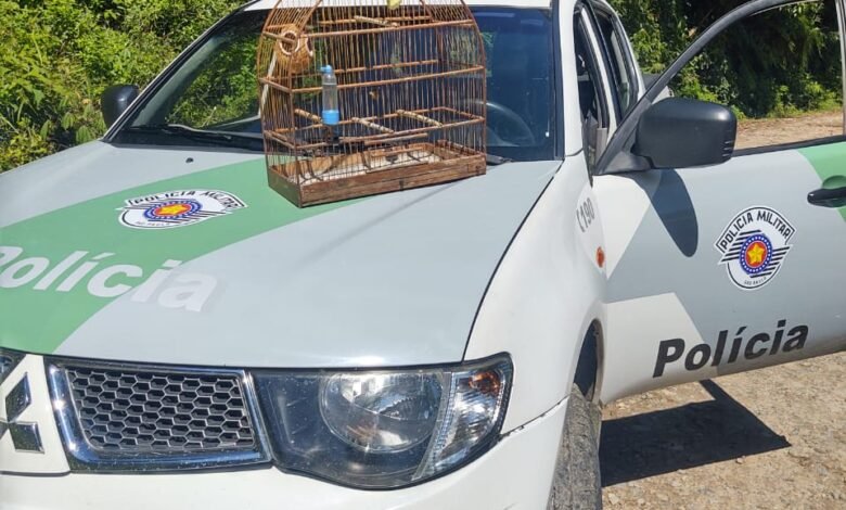 Polícia Ambiental apreende ave silvestre em cativeiro em Itanhaém