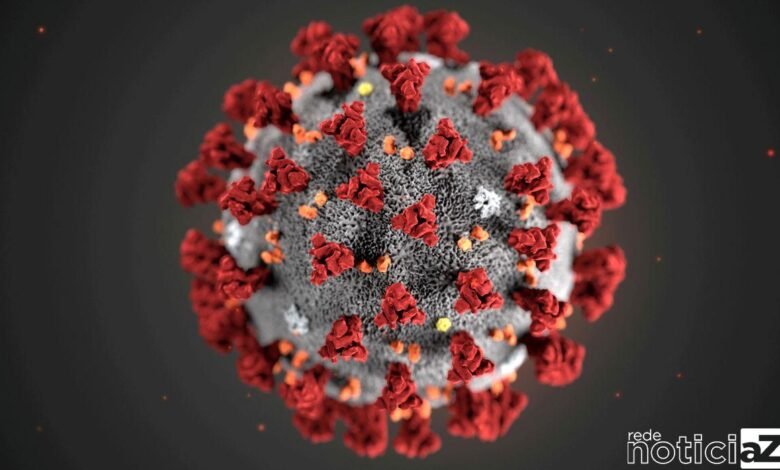 Amazônia constatou que a carga viral de pacientes contaminados pela cepa P.1 do novo coronavírus (SARS-CoV-2), uma variante brasileira,