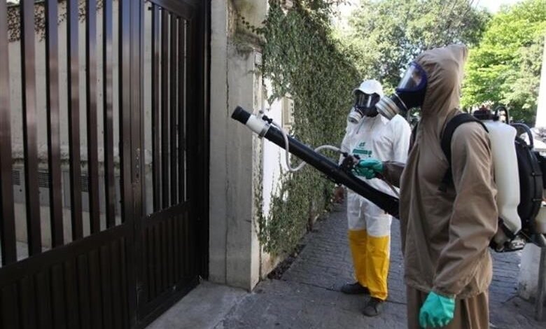 Casos de chikungunya são confirmados em Santos