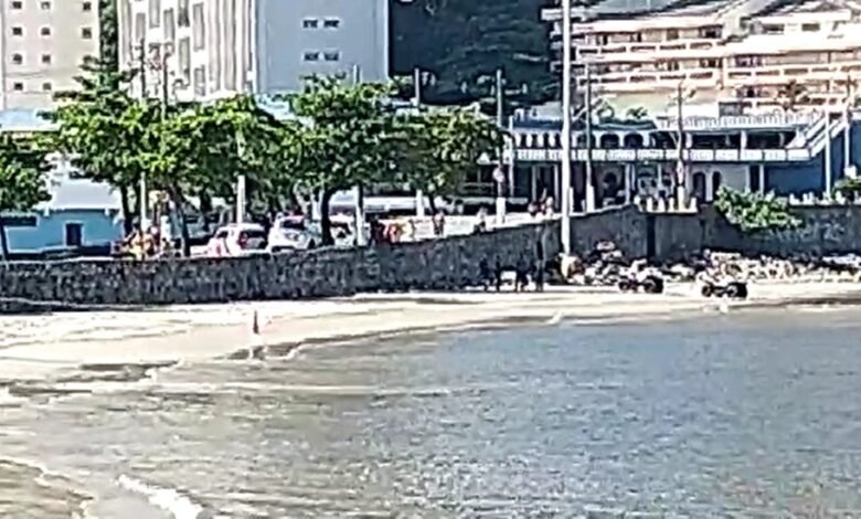 Mulher é achada morta na Ilha Porchat
