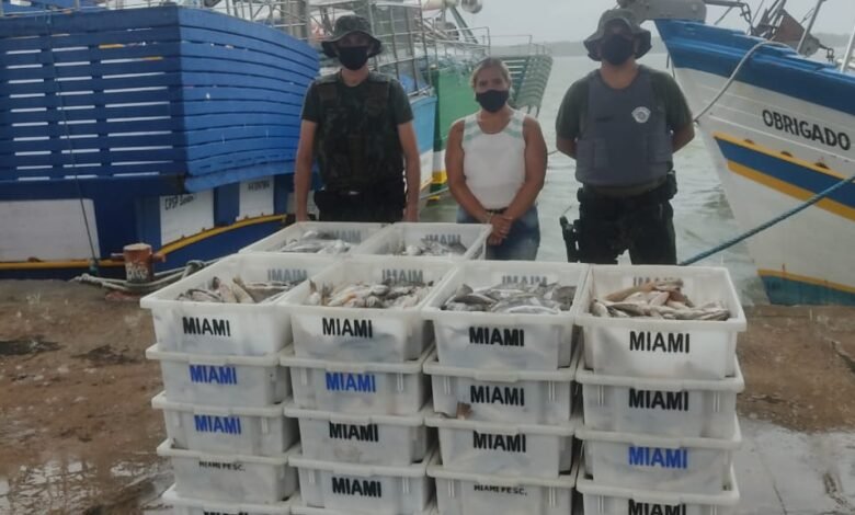 Ambiental apreende 1 ton de peixes e aplica multa de R$ 42 mil