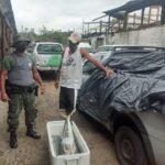 Atividade física nas férias