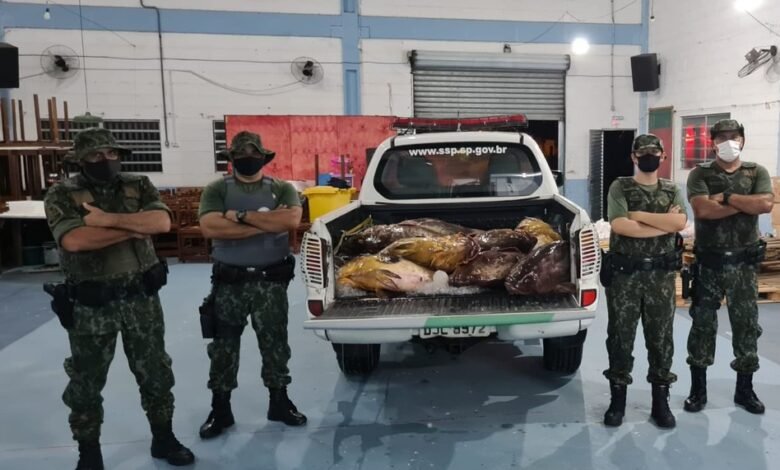 Grande quantia de peixes é apreendida pela Polícia Ambiental