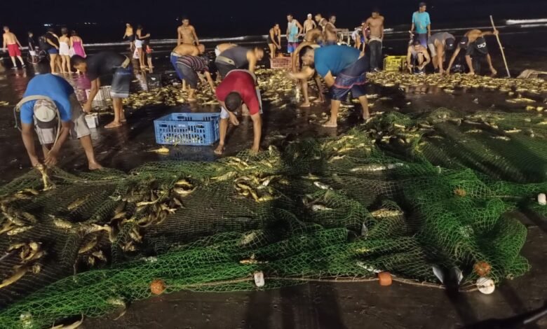 Pesca na faixa de areia pode acabar