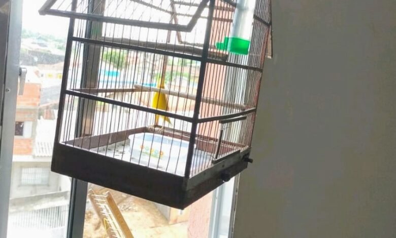 Homem leva multa de R$ 2.700 por manter aves em cativeiro