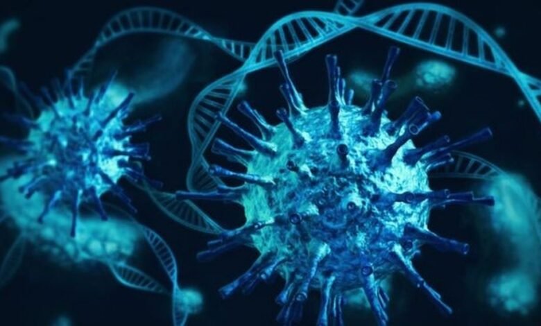 Nova variante do coronavírus é encontrada em Ilhabela