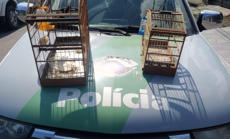 Aves mantidas em cativeiro rendem multa de R$ 5 mil