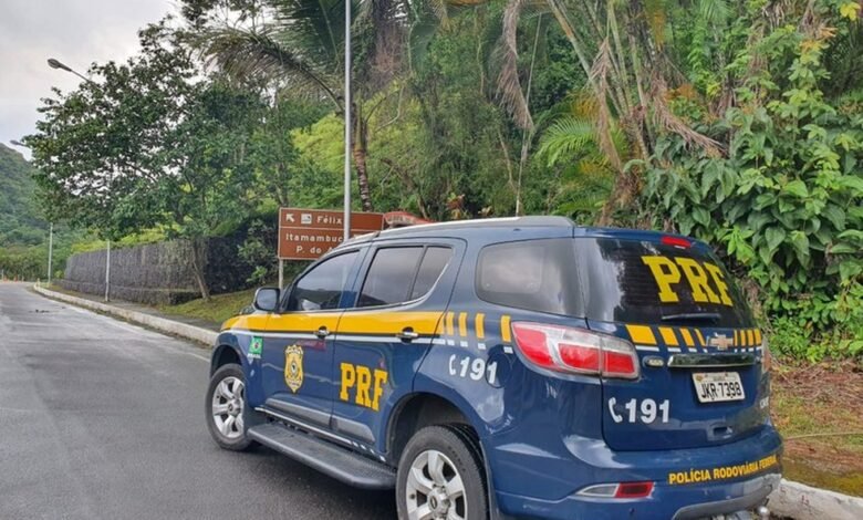 Idosa sofre picada de cobra em rodovia de Ubatuba