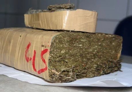 Jardineiro e jovem são presos em Ilhabela