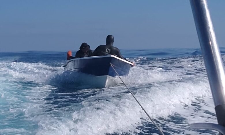 Pega-pega no mar de São Sebastião termina em prisões e multa de R$ 90 mil
