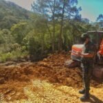 Polícia Ambiental flagra desmatamento de vegetação nativa