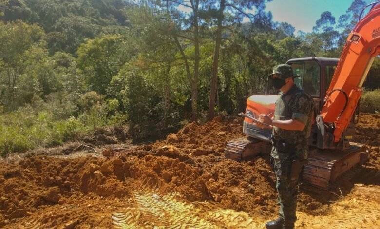 Polícia Ambiental flagra desmatamento de vegetação nativa