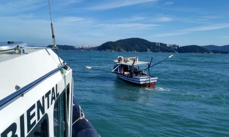 Camarão pescado é apreendido e pescadores são multados em R$ 14 mil